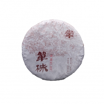 1701麻黑MH075（单株）普洱茶200g